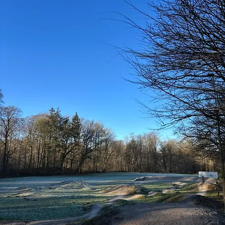 Albos Zwischen Schlei Und Ostseekueste *
