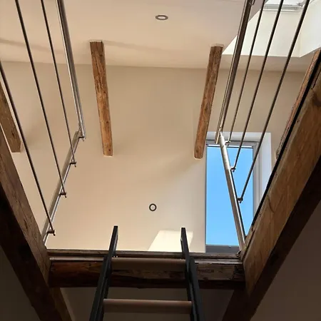 Albos Zwischen Schlei Und Ostseekueste *